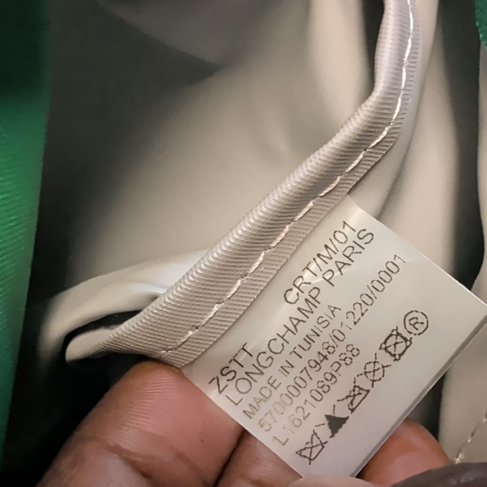 Longchamp Bag ๐๐๐๐ข๐ - Picture 9 of 9